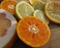 Grapefruit, orange, tangerine and lemon